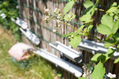 NaschBar-Reich - neben der Wasserbahn